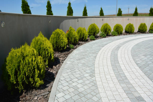 Best Driveway Repair Near Me  in Pasco, WA